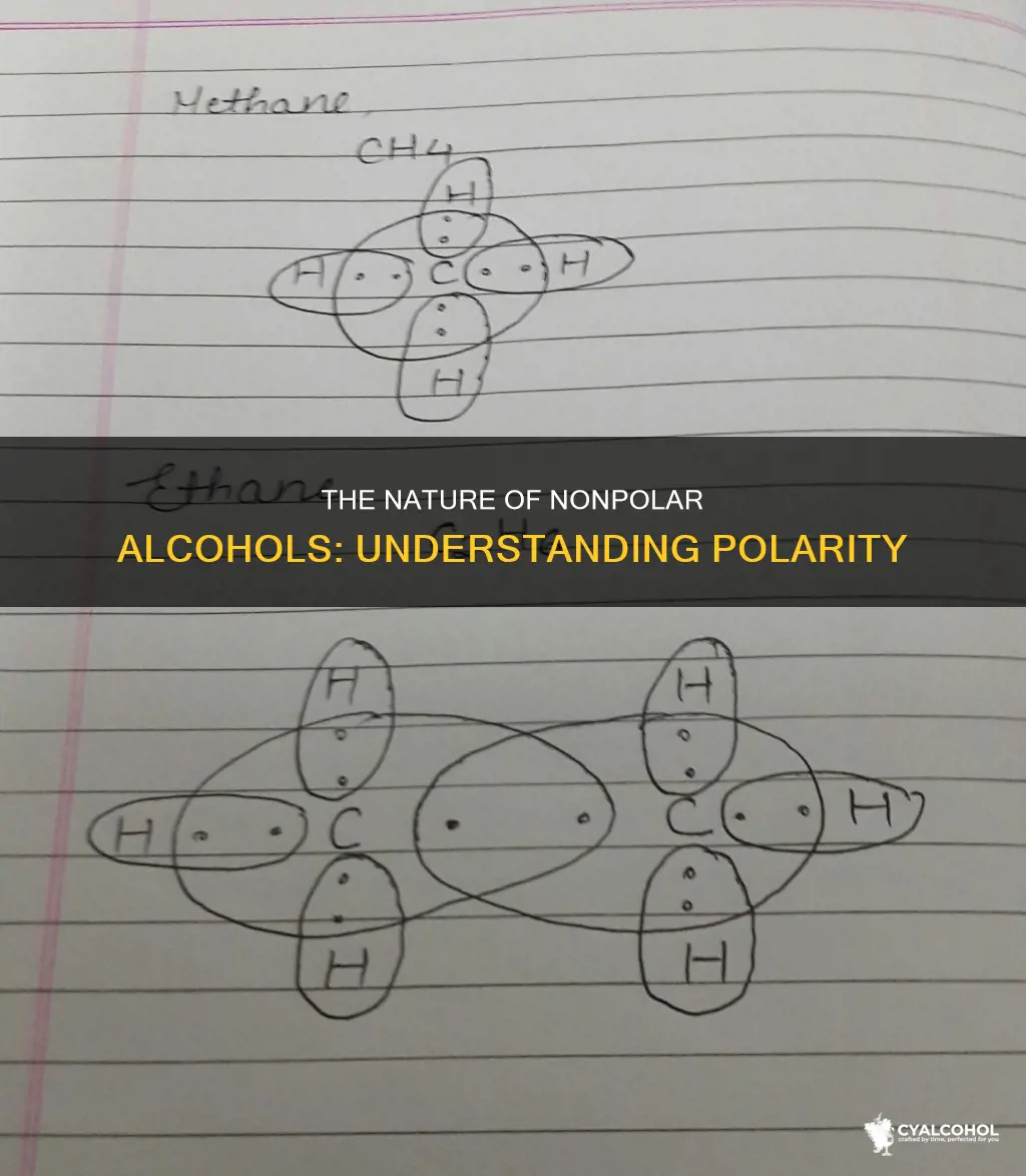what does it mean if an alcohol is nonpolar