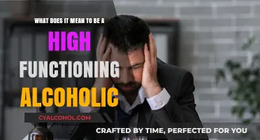Alcoholism and Functioning: A Complex Relationship