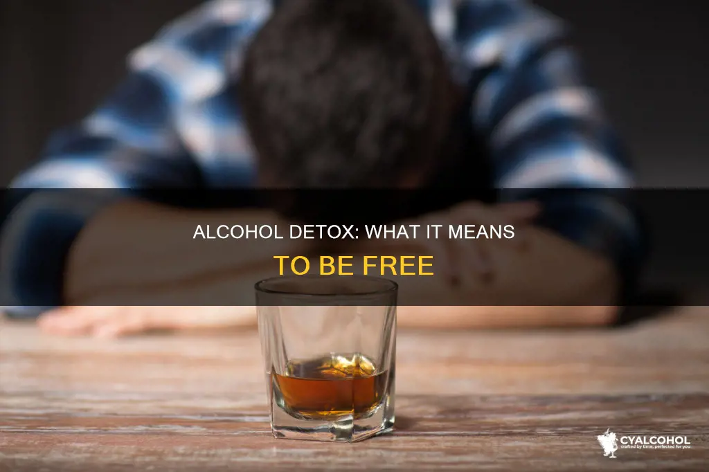what does it mean to be detoxed from alcohol