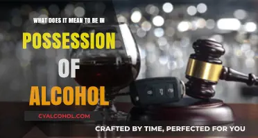 Alcohol Possession: Understanding Legal Ownership and Its Consequences