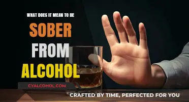 Sobriety: Alcohol-Free Living and What It Entails
