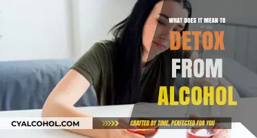Understanding Alcohol Detox: Process, Benefits, and Safe Recovery Steps
