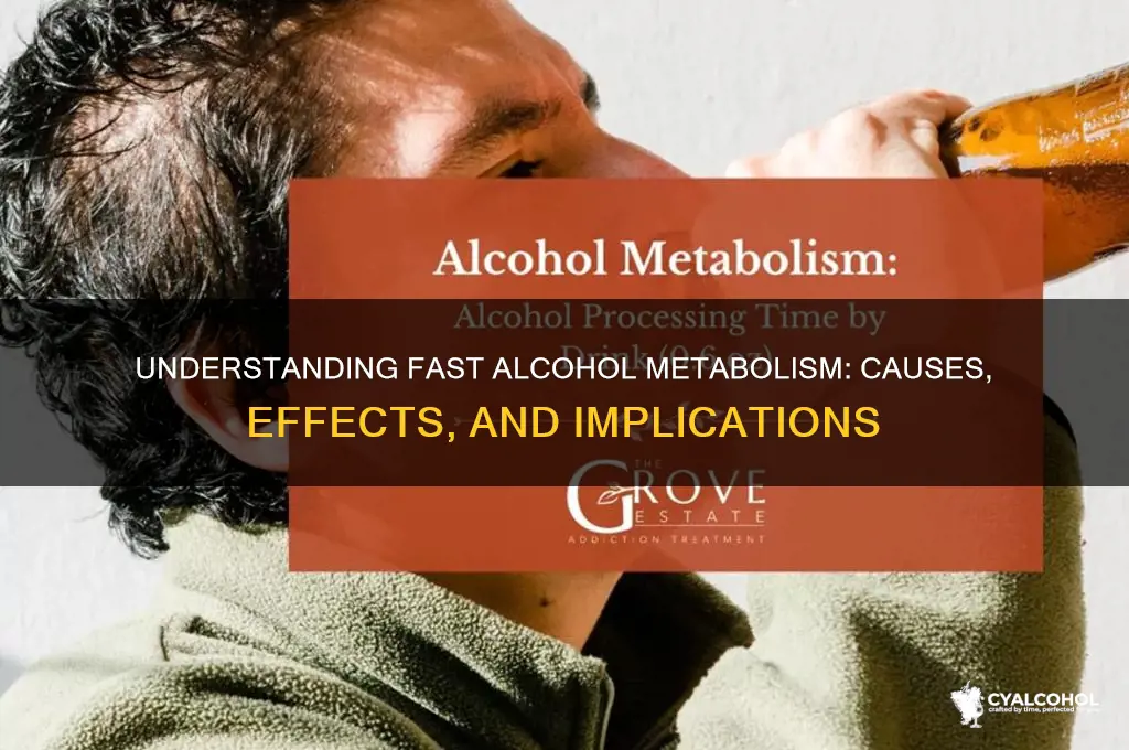 what does it mean to metabolize alcohol quickly