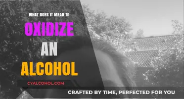 Understanding Alcohol Oxidation: Process, Reactions, and Chemical Transformations
