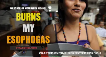 Alcohol and Esophagus Burning: Why It Happens