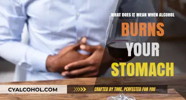 Alcohol and Stomach Pain: What's the Link?