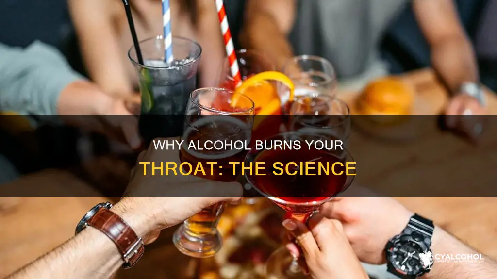 what does it mean when alcohol burns your throat