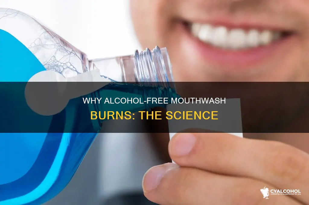 what does it mean when alcohol free mouthwash burns