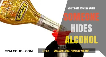 Hidden Bottles, Hidden Struggles: Understanding Secretive Alcohol Consumption