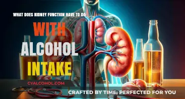 Alcohol's Impact on Kidney Function: What You Need to Know