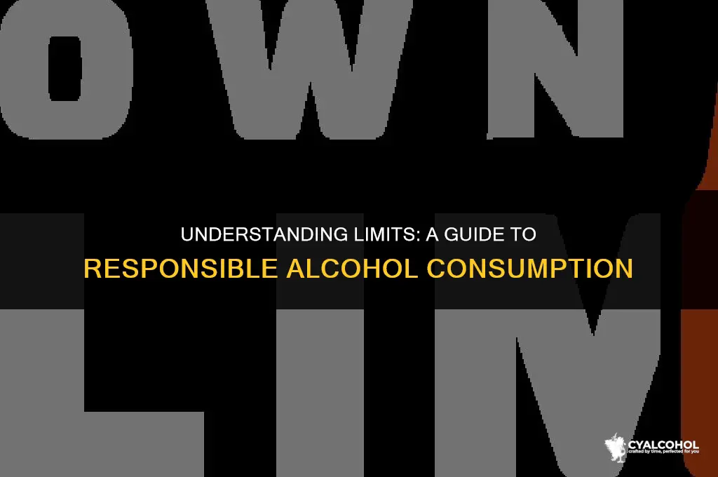 what does limit alcoholic beverages mean