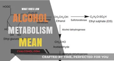 Understanding Low Alcohol Metabolism: Causes, Effects, and Management