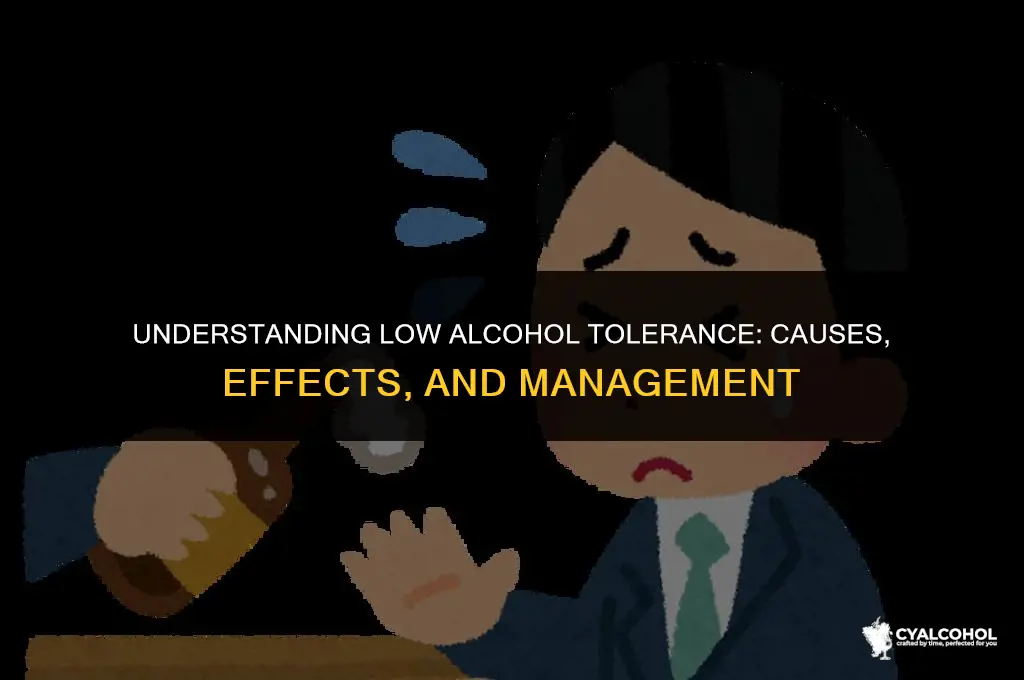 what does low alcohol tolerance mean