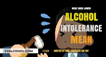 Decoding Lower Alcohol Tolerance: What It Means for Your Body