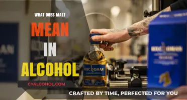 Unveiling the Secrets of Malt: A Journey into Alcohol's Heart