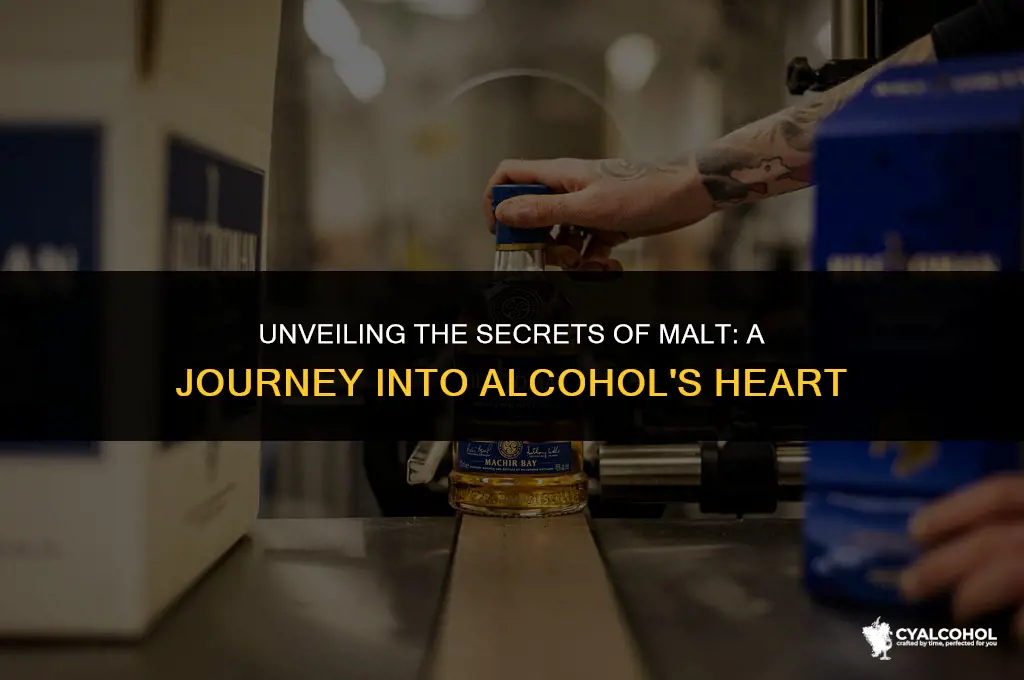 what does malt mean in alcohol