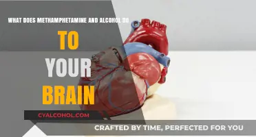 Meth and Alcohol: A Deadly Cocktail for Your Brain