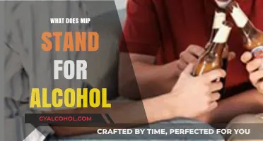 Decoding MIP: Understanding Minor in Possession of Alcohol Laws
