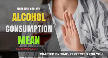 Understanding Moderate Alcohol Consumption: A Balanced Approach to Drinking