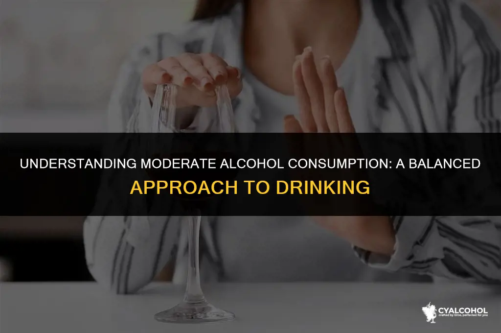 Understanding Moderate Alcohol Consumption: A Balanced Approach To ...