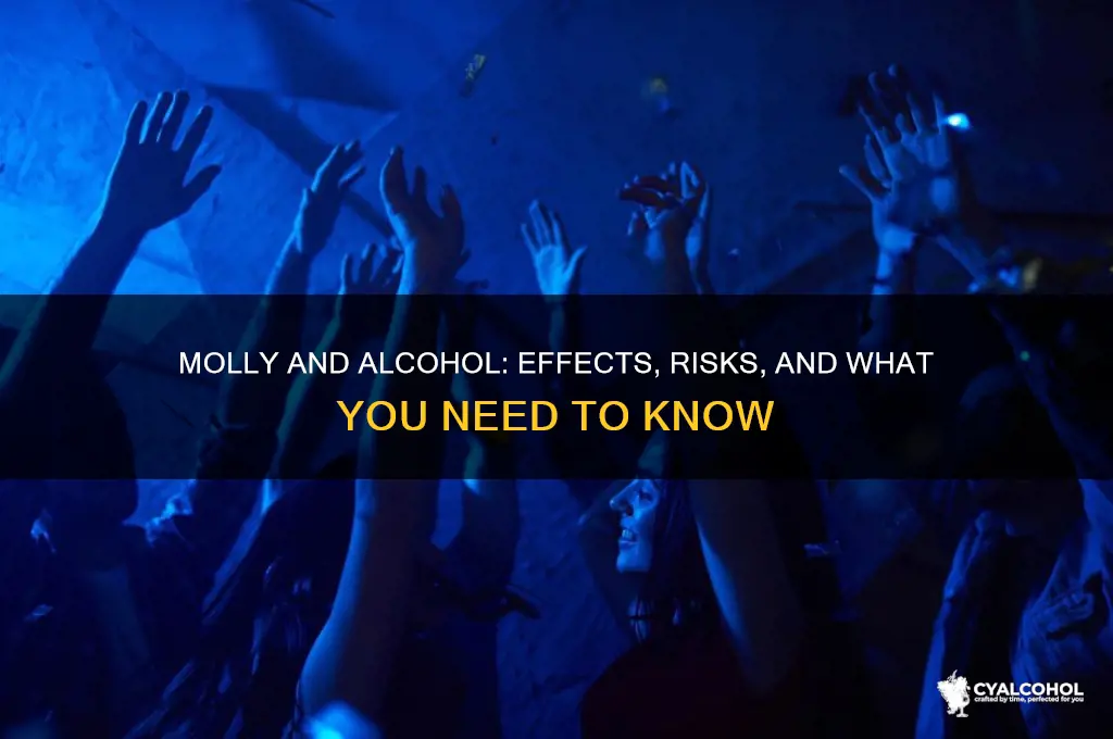what does molly and alcohol do to you