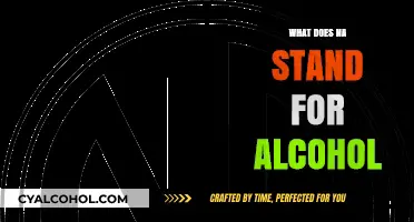 Decoding the Slang: What Does 'NA' Stand for in Alcohol Contexts?