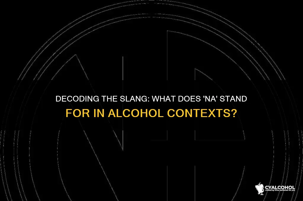 what does na stand for alcohol