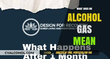Understanding No Alcohol Gas: Implications for Industrial and Medical Uses