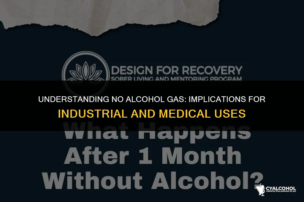 what does no alcohol gas mean