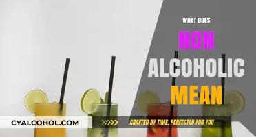 Understanding Non-Alcoholic: What It Means and How It Differs from Alcoholic