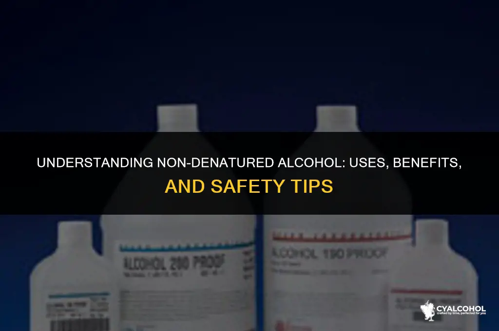 what does non denatured alcohol mean