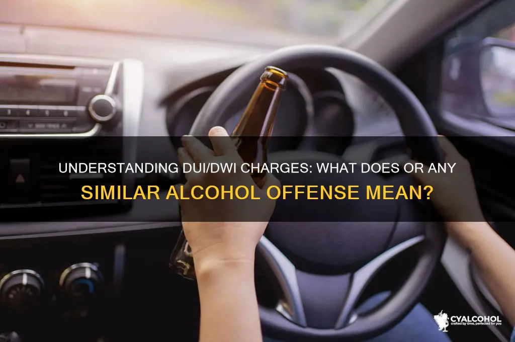 what does or any similar alcohol related offense