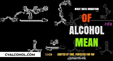 Unveiling the Mystery: What Does Oxidation of Alcohol Really Mean?