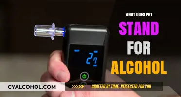 Decoding PBT: Understanding Alcohol Testing and Its Implications