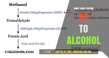 Unveiling the Surprising Role of Pepsin in Alcohol Metabolism
