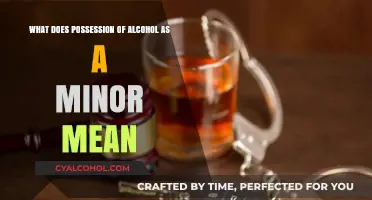 Alcohol Possession Laws: Minors and Consequences