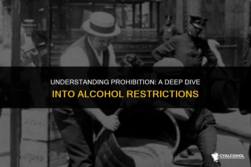 what does prohibition of alcohol mean