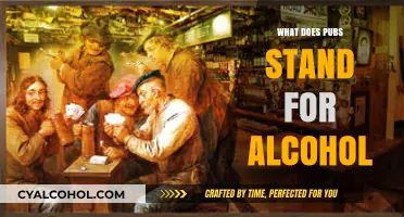 Exploring the Origins: What Does 'Pubs' Stand for in Alcohol Culture?