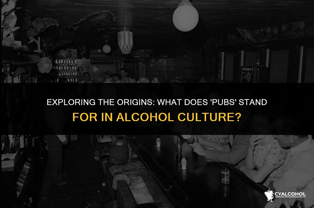 what does pubs stand for alcohol