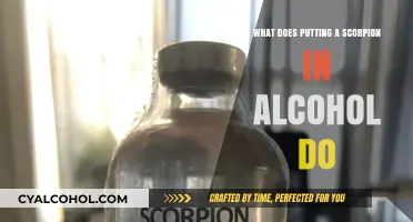 Scorpion in Alcohol: Effects, Uses, and Scientific Insights Explained