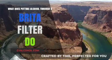 Does Filtering Alcohol Through Brita Make It Better?