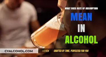 Understanding Alcohol Absorption Rate: How Your Body Processes Drinks