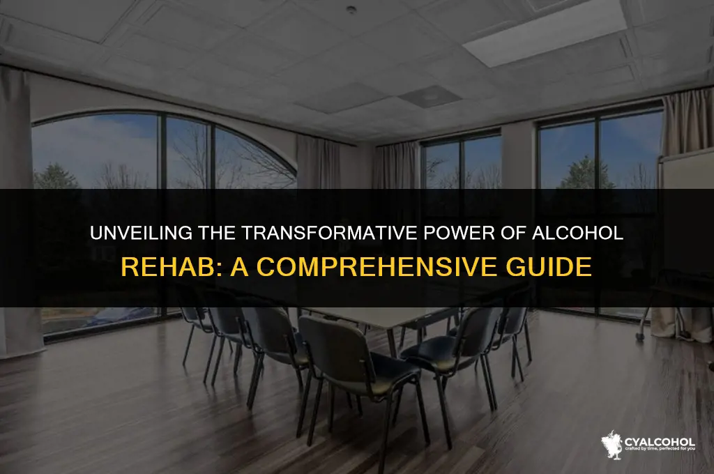 what does rehab do for alcohol