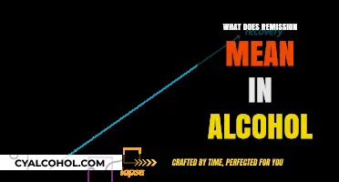 Understanding Remission in Alcoholism: A Journey to Recovery