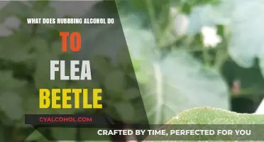 Rubbing Alcohol's Effect on Flea Beetles: A Natural Pest Control Solution