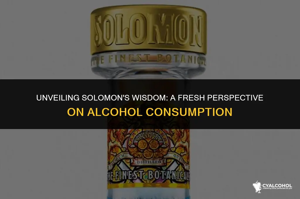 what does salomon says about alcohol