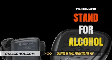 Unveiling SCRAM: The Science Behind Alcohol Monitoring