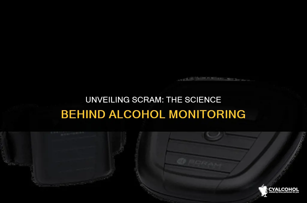 what does scram stand for alcohol