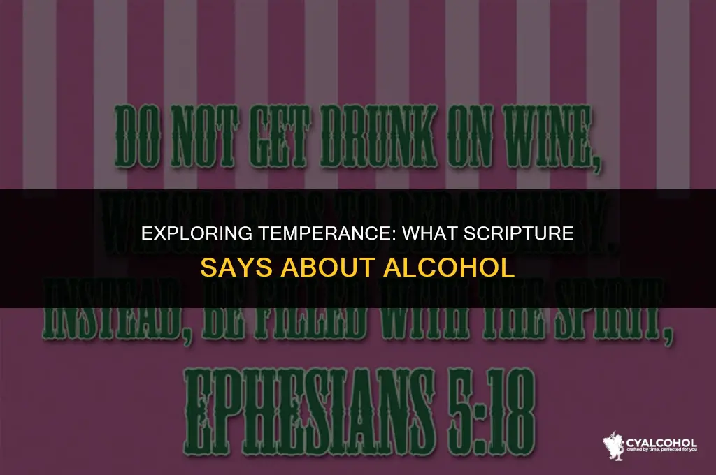 what does scripture say about alcohol