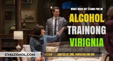 Alcohol Training: Understanding the SET Program in Virginia